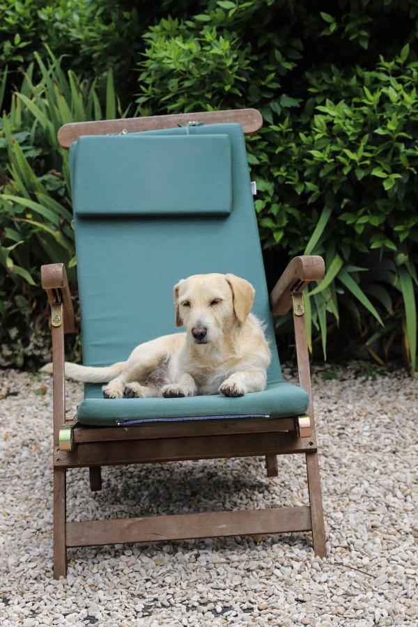 Manoir De La Croix Saint Louis "Luxury Guest House" Taingy Esterno foto